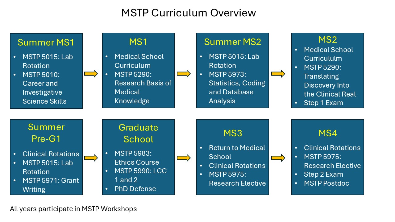 Curriculum Overview